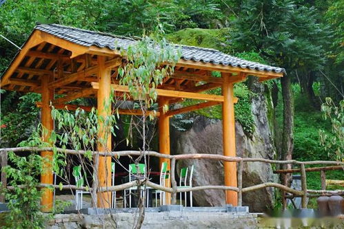 偷得浮生几日闲，彩云深处有人家——汉中农家乐打卡攻略