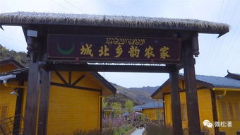 农家乐 开启乡村振兴的新篇章