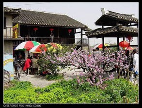 上海南汇农家乐避暑记