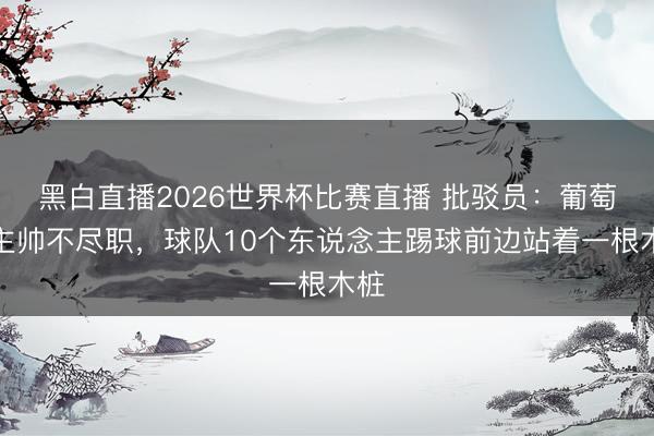 黑白直播2026世界杯比赛直播 批驳员:葡萄牙主帅不尽职,球队10个东说念主踢球前边站着一根木桩